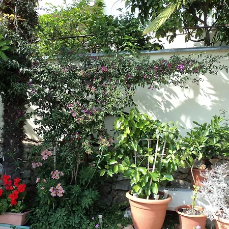 Three-bedroom In I